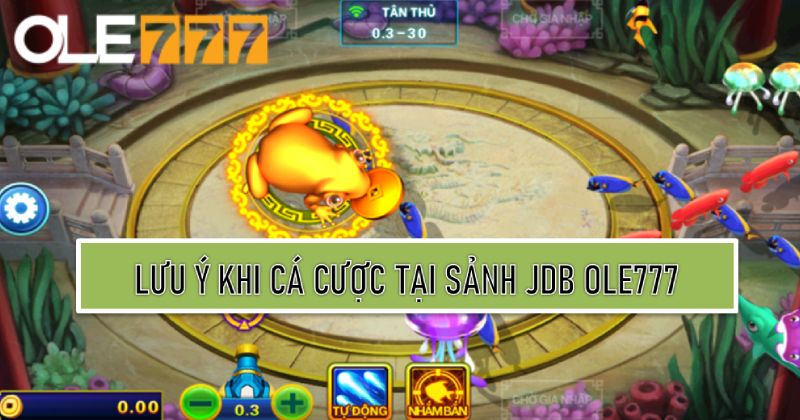 Lưu ý khi cá cược tại sảnh JDB trên Ole777