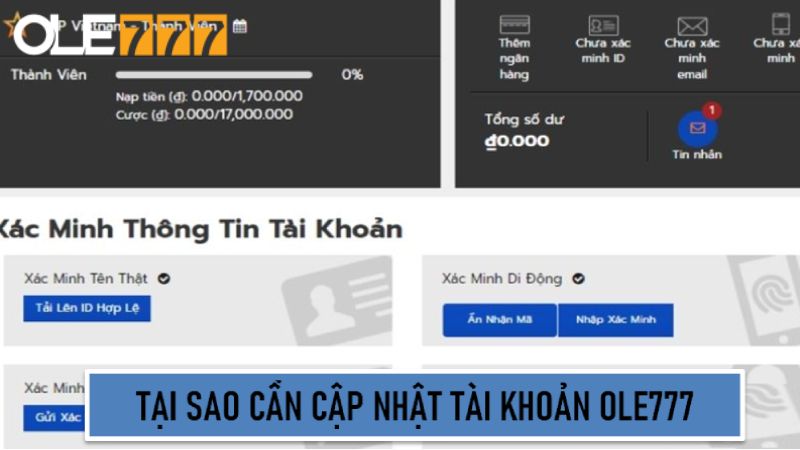 Tại sao cần cập nhật đầy đủ thông tin tài khoản Ole777? 